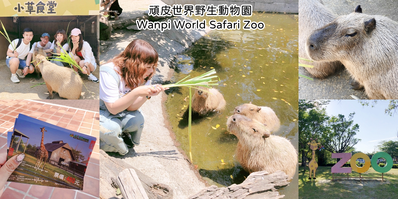 【台南景點】全台灣唯一超萌水豚君在這裡《頑皮世界野生動物園Wanpi World Safari Zoo》 南台灣最大的野生動物園|IG打卡| |台南動物園| |親子旅遊| |學甲景點| |交通資訊|