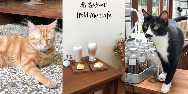 【台南美食】隱藏在蜿蜒巷弄內的咖啡店，可愛的店貓還會招呼你喔《喝我咖啡Hold My Cafe》 |IG打卡| |康樂街美食| |台南咖啡店| |手沖咖啡|