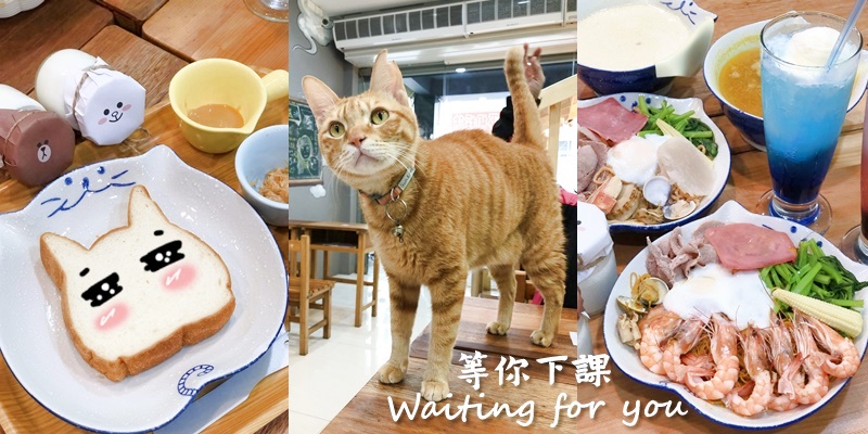 【台南美食】貓奴們必朝聖的寵物友善餐廳，乾濕分離鍋燒意麵好有趣《等你下課 Waiting for you 貓咪餐廳》 |中西區美食| |家齊中學| |台南午餐|