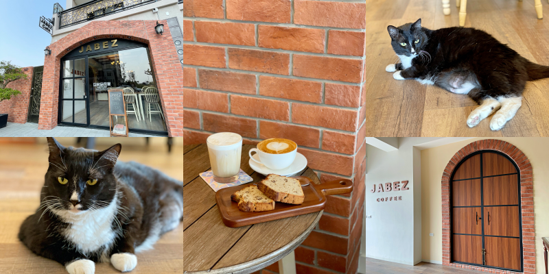 【台南美食】帥貓出沒！九份子重劃區第一家質感咖啡店《Jabez Cafe 雅比斯咖啡輕食》 |安南區美食| |台南咖啡店| |台南甜點|