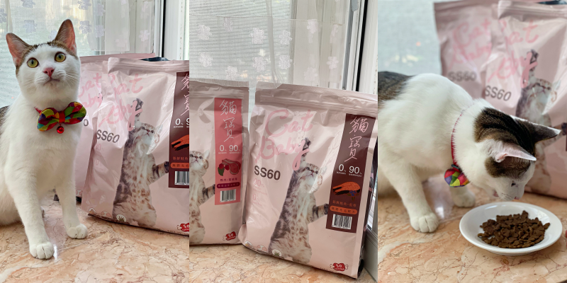 【寵物飼料推薦】吃貨錢錢來開箱！全新台灣品牌天然又健康！《貓寶SS60無榖優質全齡貓飼料》 |豪滿億健康生活寵物百貨||飼料推薦| |高嗜口性|