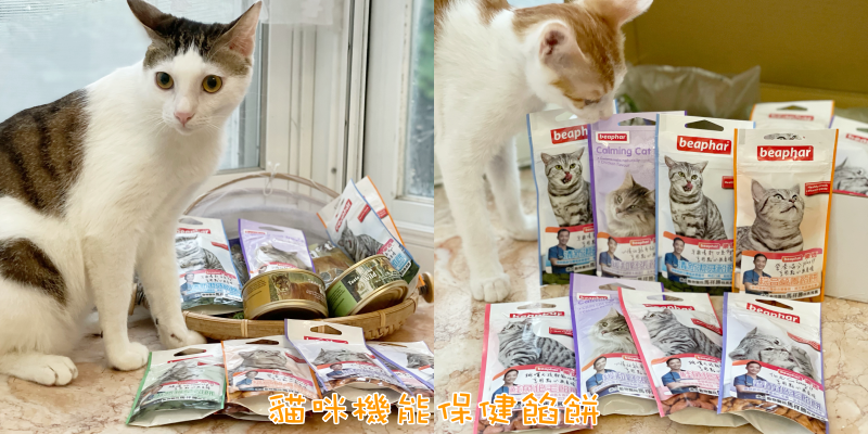 【寵物食品推薦】錢財來開箱！讓貓咪愛不釋口的貓零食餡餅《貓咪機能保健餡餅》|貓咪零食| |寵物零食|