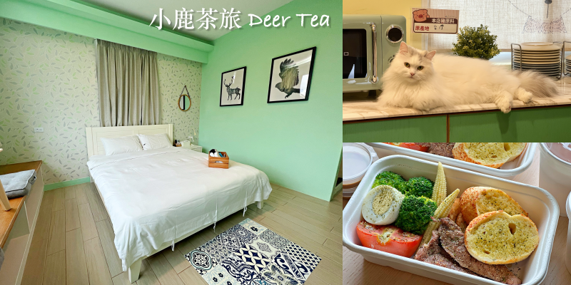 【台東住宿】一起來臺東看熱氣球吧！鹿野超溫馨民宿在這裡～《小鹿茶旅 Deer Tea》|2022臺灣國際熱氣球嘉年華| |台東民宿| |鹿野民宿推薦| |台東旅遊|